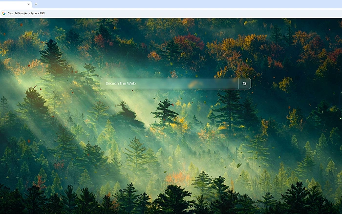 In The Early Morning Forest Live Wallpaper