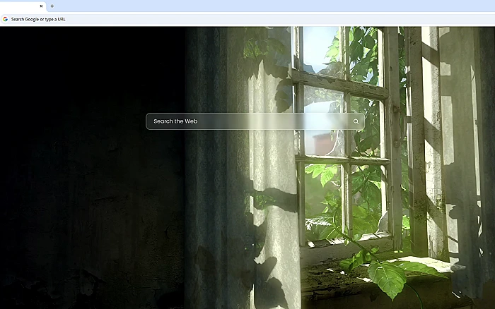 Window The Last Of Us Live Wallpaper