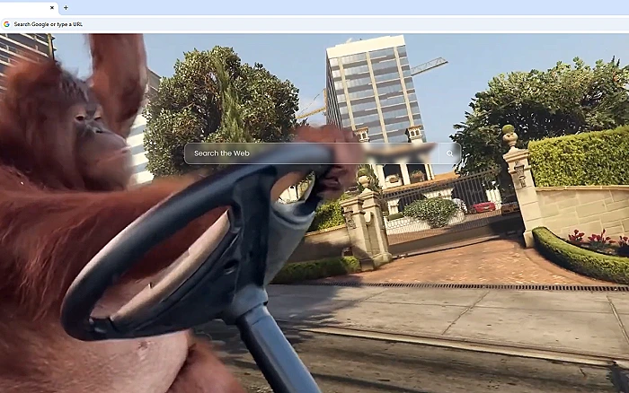 Monkey Driving Grand Theft Auto V Live Wallpaper