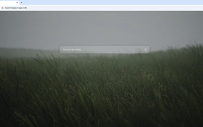 Wavy Grass Live Wallpaper